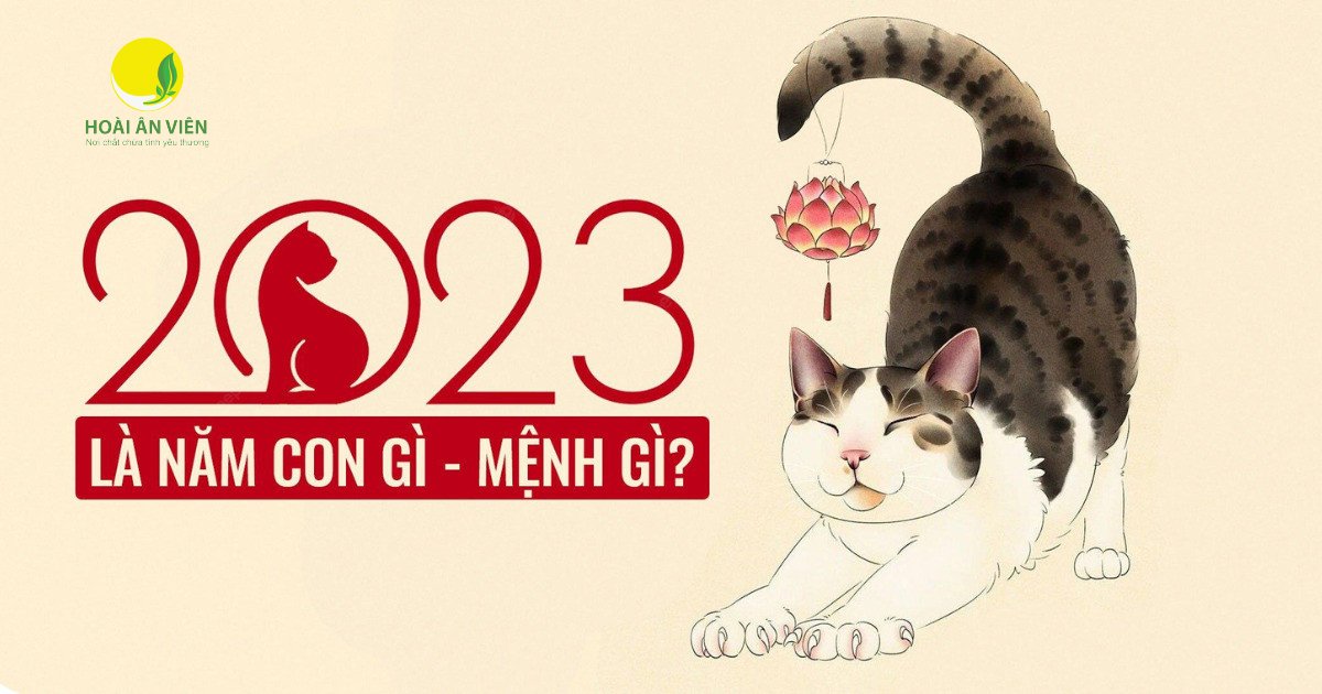 Năm quý mão 2023 là năm con gì? Mệnh gì? Sẽ mang lại may mắn cho tuổi nào?